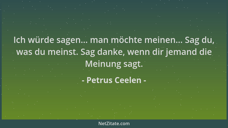 Petrus Ceelen - Ich würde sagen... man möchte meinen... Sag du, was du meinst. Sag danke, wenn dir jemand die Meinung sagt....