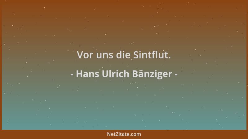 Hans Ulrich Bänziger - Vor uns die Sintflut....