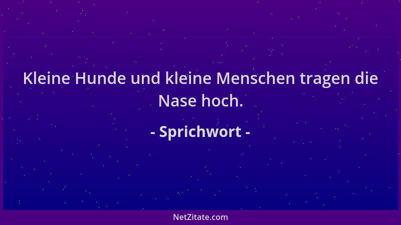 Sprichwort - Kleine Hunde und kleine Menschen tragen die Nase hoch....