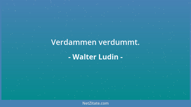 Walter Ludin - Verdammen verdummt....