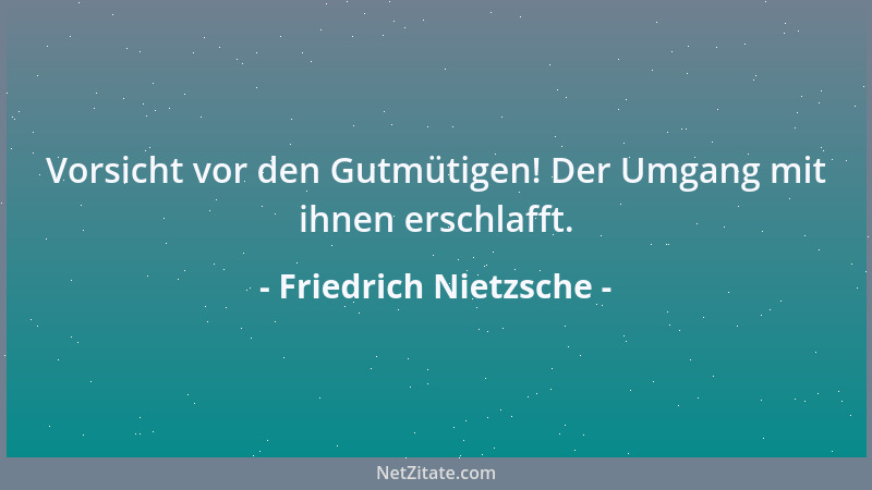 Friedrich Nietzsche - Wir wollen uns segnen, wenn wir wissen, wo unsere Pflicht ist....