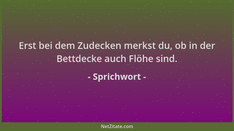 Sprichwort - Erst bei dem Zudecken merkst du, ob in der Bettdecke auch Flöhe sind....