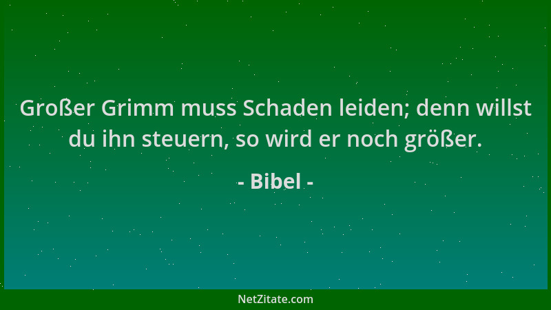 Bibel - Großer Grimm muss Schaden leiden; denn willst du ihn steuern, so wird er noch größer....