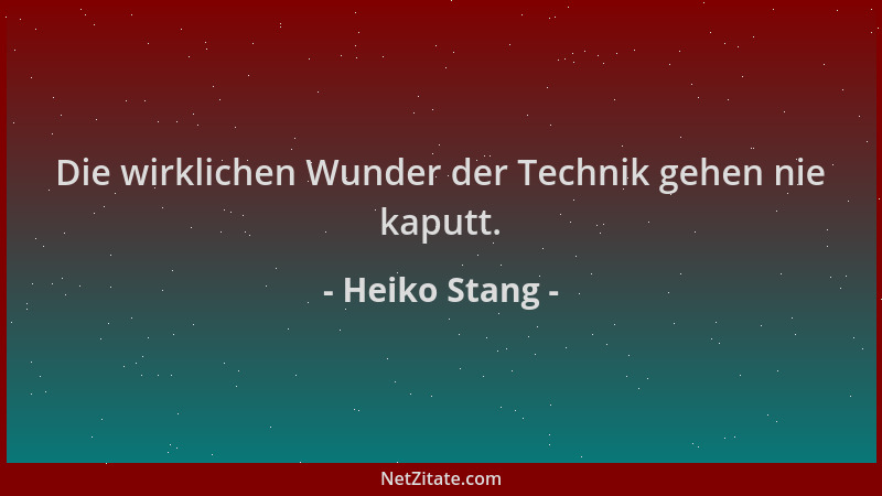 Heiko Stang - Die wirklichen Wunder der Technik gehen nie kaputt....