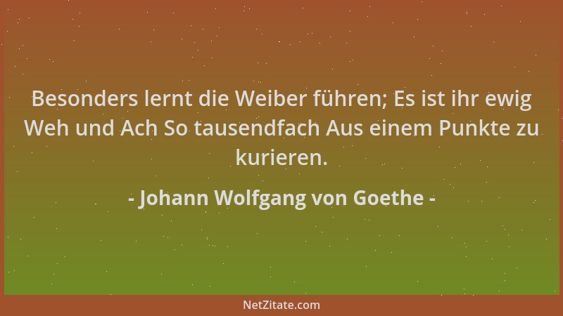 Johann Wolfgang von Goethe - Besonders lernt die Weiber führen; Es ist ihr ewig Weh und Ach So tausendfach Aus einem Punkte...