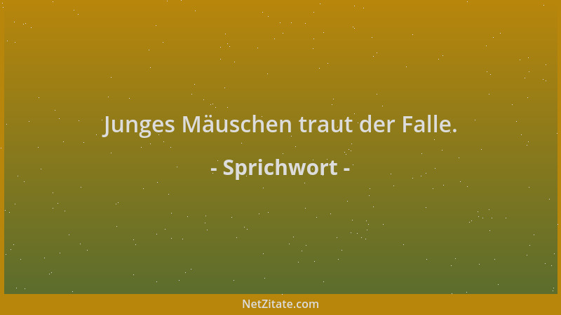Sprichwort - Junges Mäuschen traut der Falle....