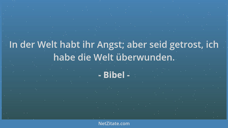Bibel - In der Welt habt ihr Angst; aber seid getrost, ich habe die Welt überwunden....