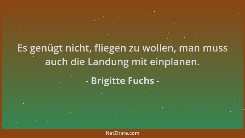 Brigitte Fuchs - Es genügt nicht, fliegen zu wollen, man muss auch die Landung mit einplanen....