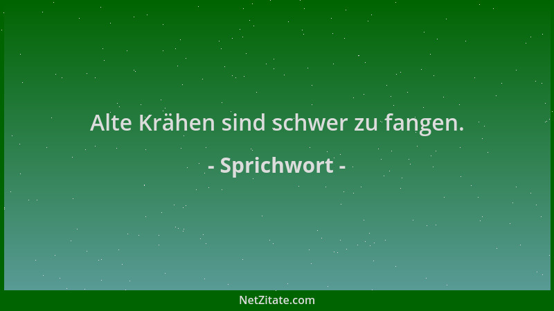 Sprichwort - Alte Krähen sind schwer zu fangen....