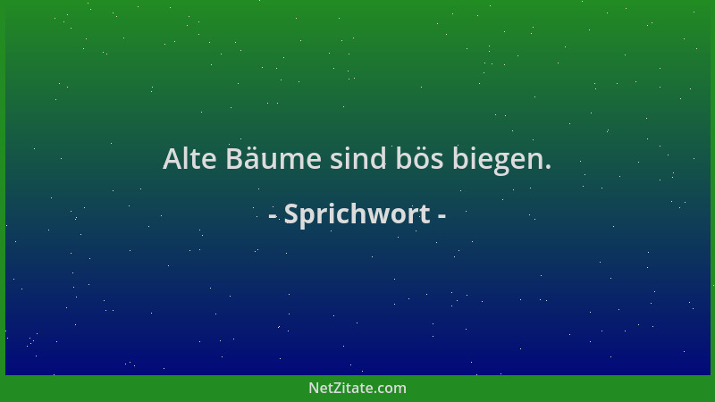 Sprichwort - Alte Bäume sind bös biegen....