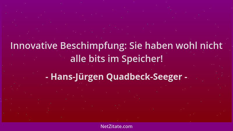 Hans-Jürgen Quadbeck-Seeger - Innovative Beschimpfung: Sie haben wohl nicht alle bits im Speicher!...