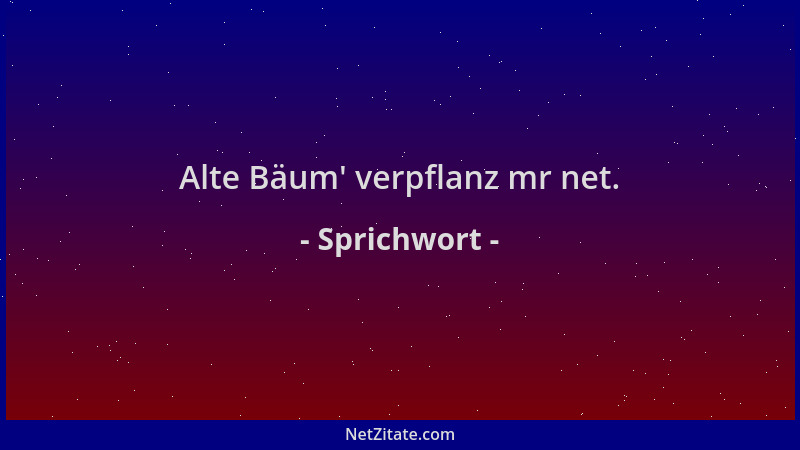 Sprichwort - Alte Bäum ' verpflanz mr net....