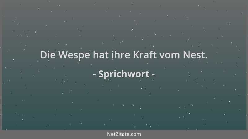 Sprichwort - Die Wespe hat ihre Kraft vom Nest....