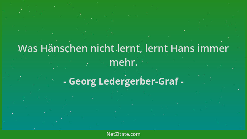 Georg Ledergerber-Graf - Was Hänschen nicht lernt, lernt Hans immer mehr....