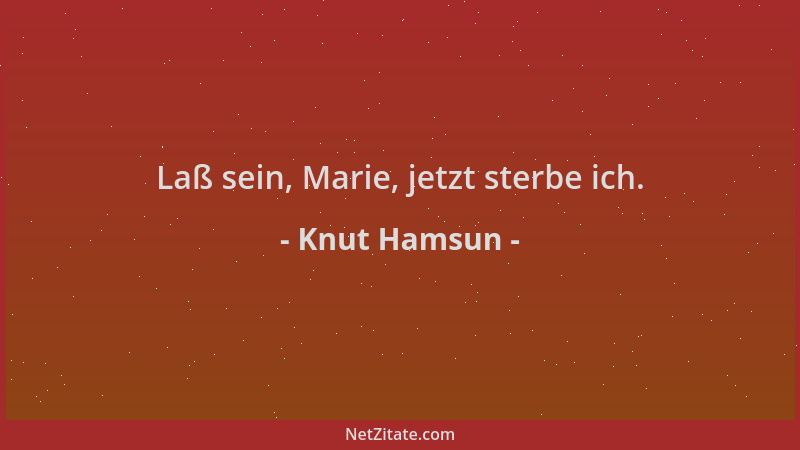 Knut Hamsun - Laß sein, Marie, jetzt sterbe ich....