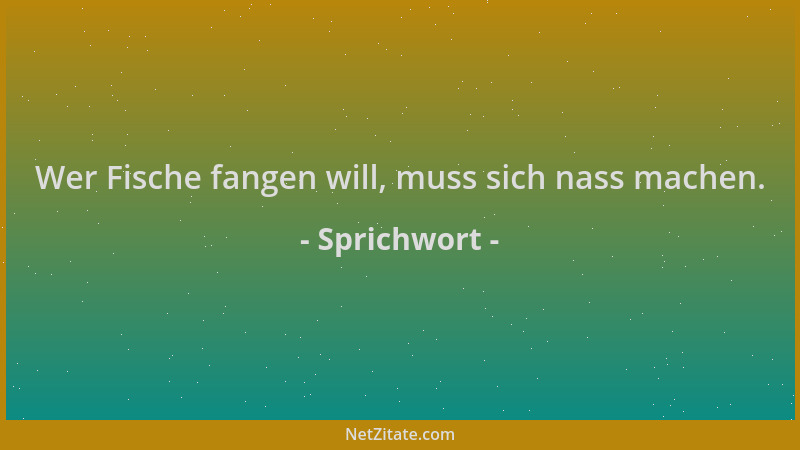 Sprichwort - Wer Fische fangen will, muss sich nass machen....