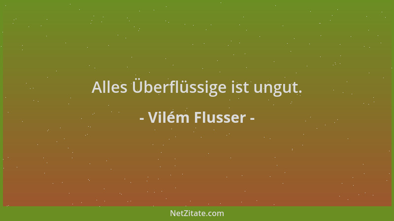 Vilém Flusser - Alles Überflüssige ist ungut....