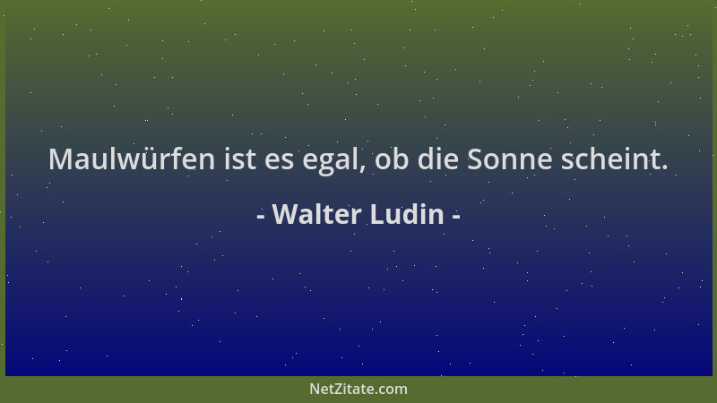 Walter Ludin - Maulwürfen ist es egal, ob die Sonne scheint....