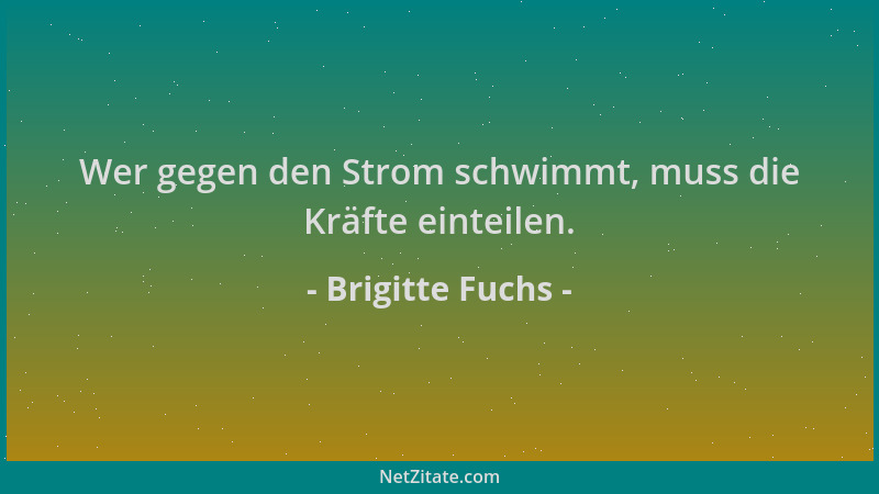 Brigitte Fuchs - Wer gegen den Strom schwimmt, muss die Kräfte einteilen....