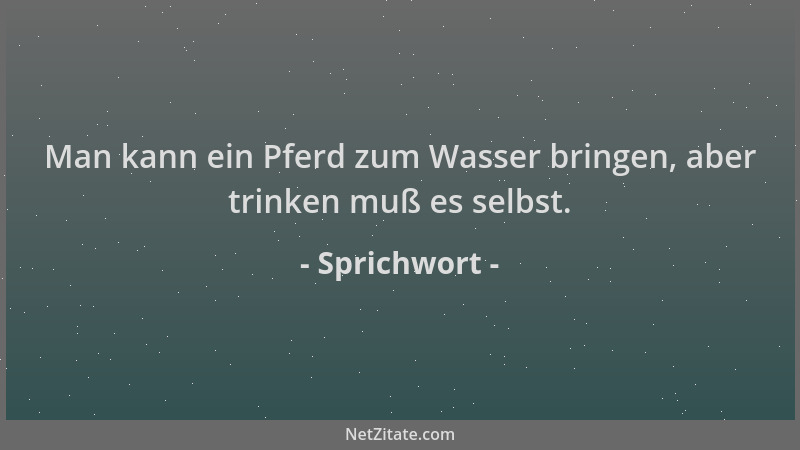 Sprichwort - Man kann ein Pferd zum Wasser bringen, aber trinken muß es selbst....