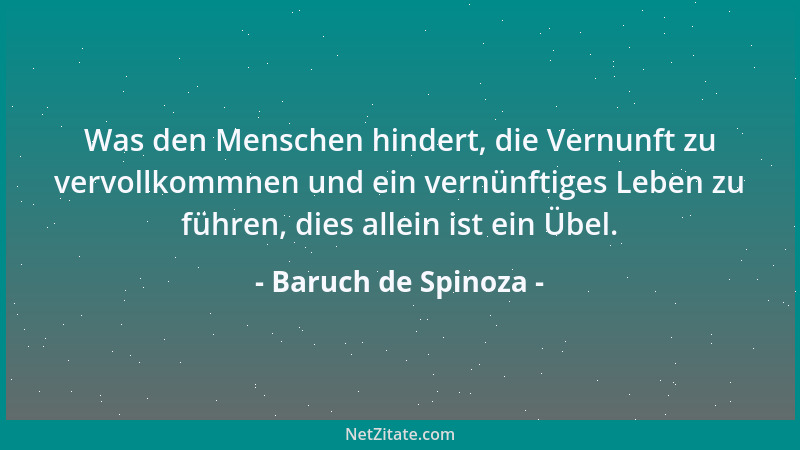 Baruch de Spinoza - Was den Menschen hindert, die Vernunft zu vervollkommnen und ein vernünftiges Leben zu führen, dies all...