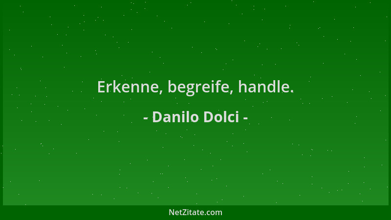 Danilo Dolci - Erkenne, begreife, handle....