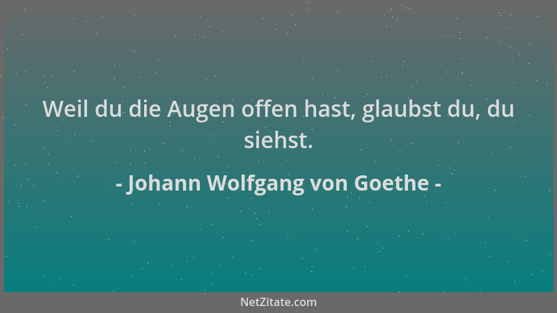 Johann Wolfgang von Goethe - Weil du die Augen offen hast, glaubst du, du siehst....
