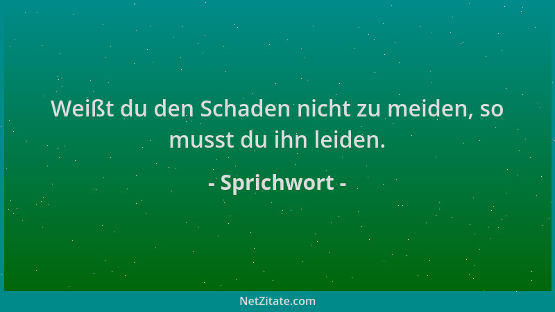 Sprichwort - Weißt du den Schaden nicht zu meiden, so musst du ihn leiden....