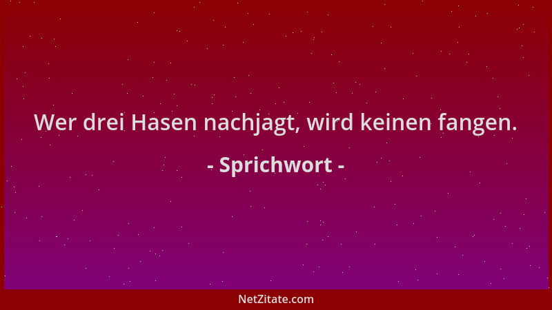Sprichwort - Wer drei Hasen nachjagt, wird keinen fangen....