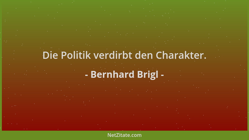 Bernhard Brigl - Die Politik verdirbt den Charakter....