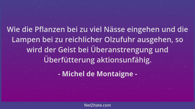 Michel de Montaigne - Wie die Pflanzen bei zu viel Nässe eingehen und die Lampen bei zu reichlicher Olzufuhr ausgehen, so w...