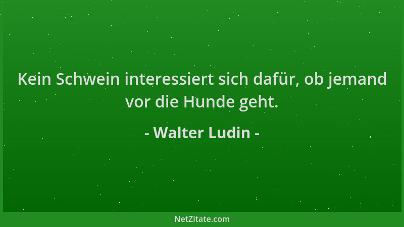 Walter Ludin - Kein Schwein interessiert sich dafür, ob jemand vor die Hunde geht....