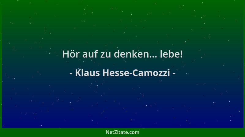 Klaus Hesse-Camozzi - Hör auf zu denken... lebe!...