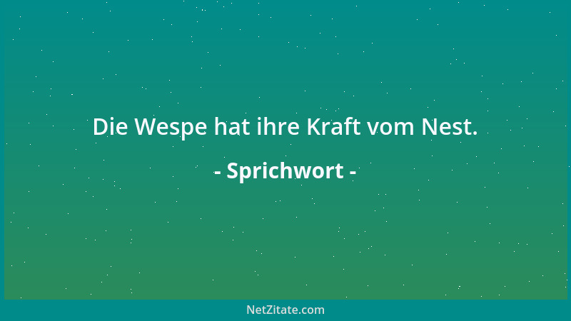 Sprichwort - Die Wespe hat ihre Kraft vom Nest....