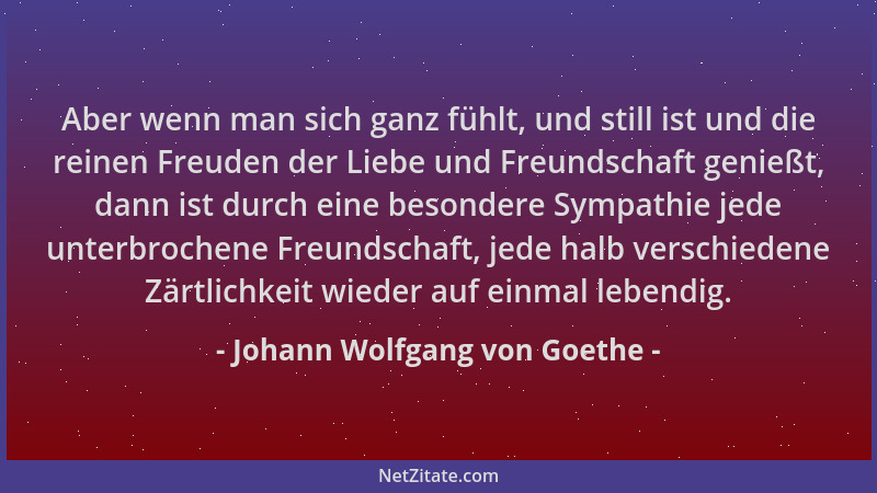 Johann Wolfgang von Goethe - Aber wenn man sich ganz fühlt, und still ist und die reinen Freuden der Liebe und Freundschaft...