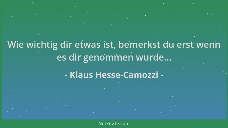 Klaus Hesse-Camozzi - Wie wichtig dir etwas ist, bemerkst du erst wenn es dir genommen wurde......
