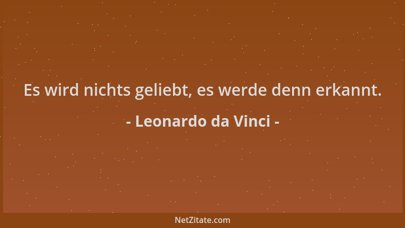 Leonardo da Vinci - Es wird nichts geliebt, es werde denn erkannt....