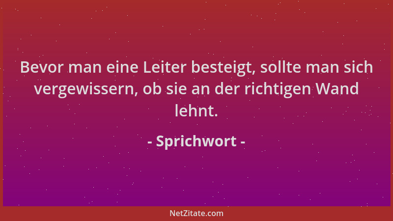 Sprichwort - Bevor man eine Leiter besteigt, sollte man sich vergewissern, ob sie an der richtigen Wand lehnt....