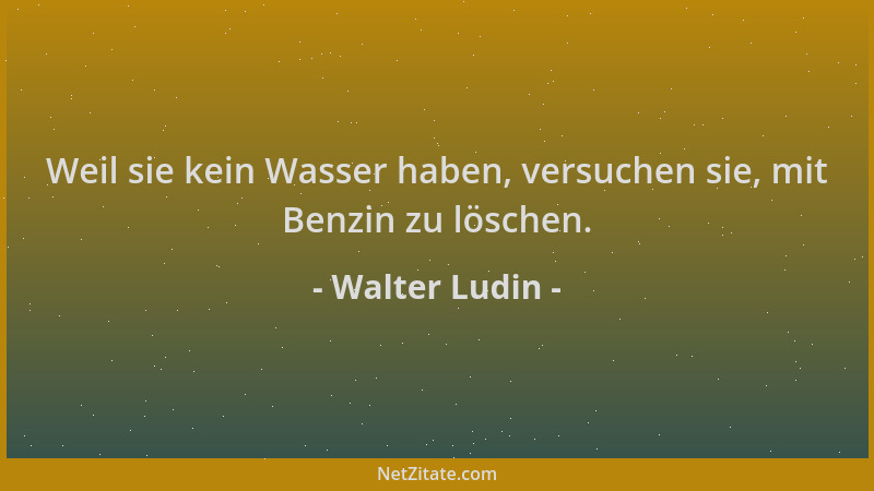 Walter Ludin - Weil sie kein Wasser haben, versuchen sie, mit Benzin zu löschen....