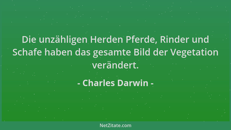 Charles Darwin - Die unzähligen Herden Pferde, Rinder und Schafe haben das gesamte Bild der Vegetation verändert....