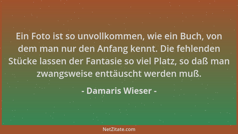 Damaris Wieser - Ein Foto ist so unvollkommen, wie ein Buch, von dem man nur den Anfang kennt. Die fehlenden Stücke lassen...