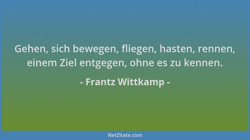 Frantz Wittkamp - Gehen, sich bewegen, fliegen, hasten, rennen, einem Ziel entgegen, ohne es zu kennen....