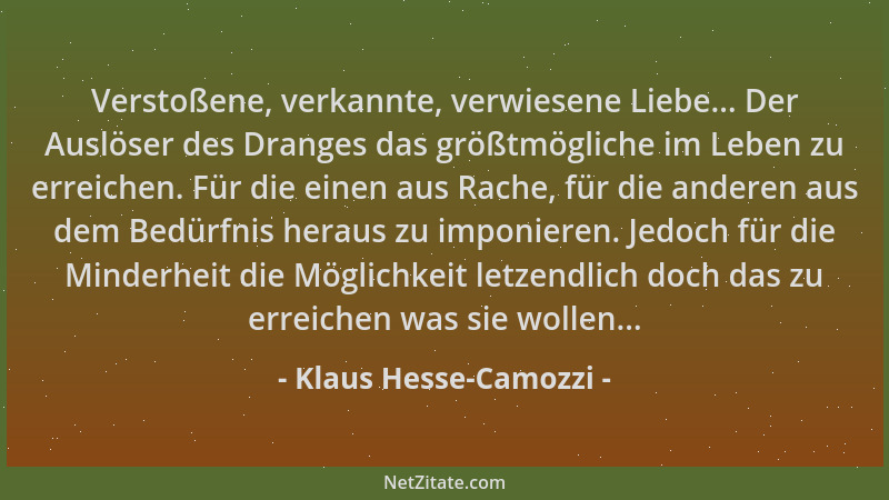 Klaus Hesse-Camozzi - Verstoßene, verkannte, verwiesene Liebe... Der Auslöser des Dranges das größtmögliche im Leben zu err...