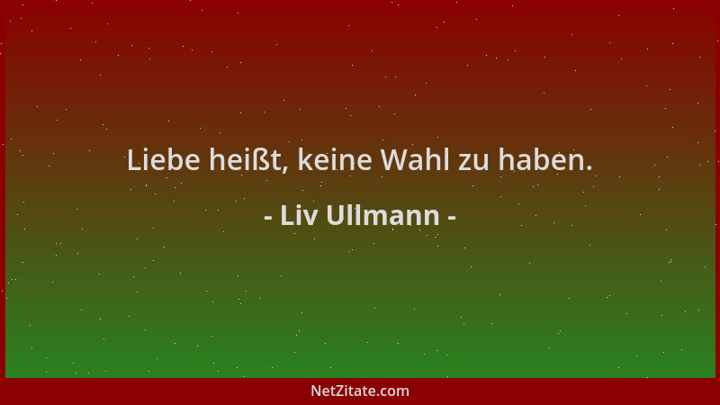 Liv Ullmann - Liebe heißt, keine Wahl zu haben....