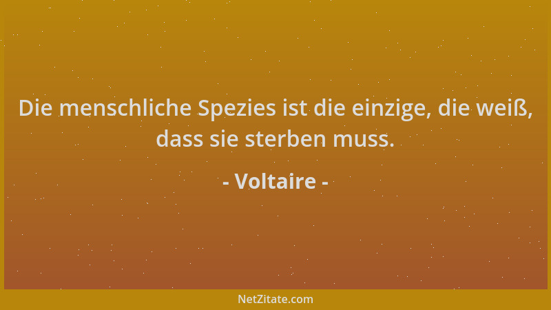 Voltaire - Die menschliche Spezies ist die einzige, die weiß, dass sie sterben muss....