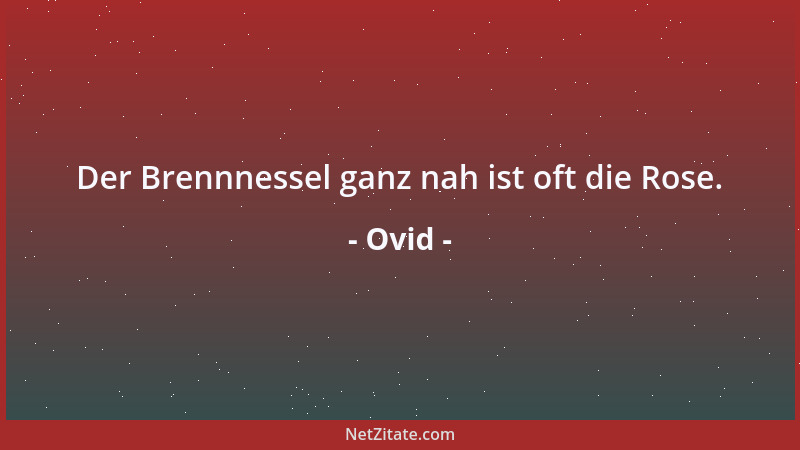 Ovid - Der Brennnessel ganz nah ist oft die Rose....