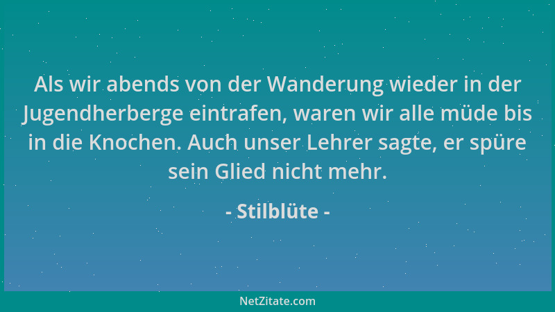 Stilblüte - Als wir abends von der Wanderung wieder in der Jugendherberge eintrafen, waren wir alle müde bis in die Knochen...