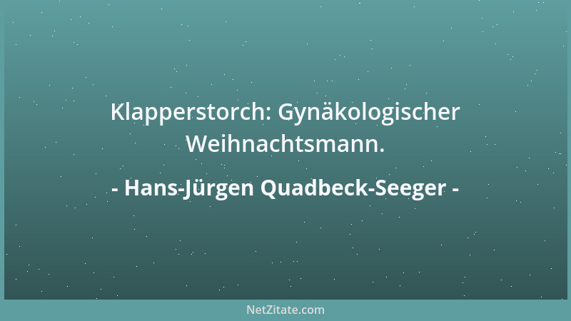 Hans-Jürgen Quadbeck-Seeger - Klapperstorch: Gynäkologischer Weihnachtsmann....