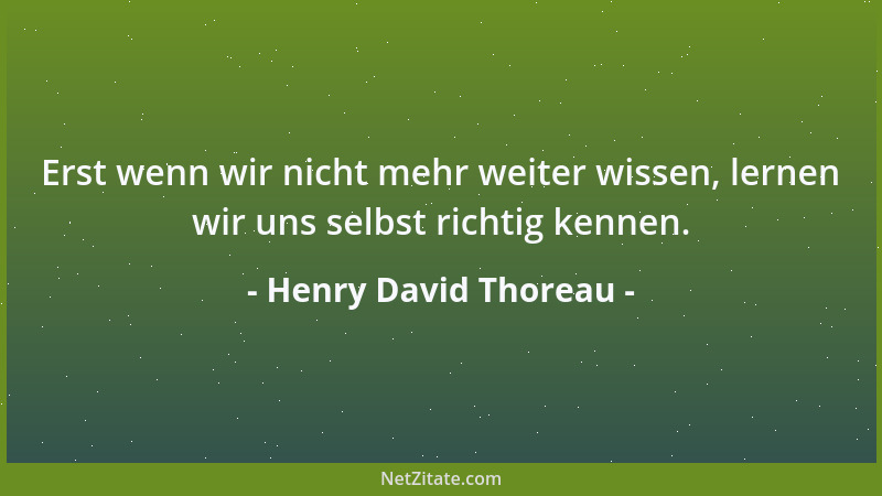 Henry David Thoreau - Erst wenn wir nicht mehr weiter wissen, lernen wir uns selbst richtig kennen....