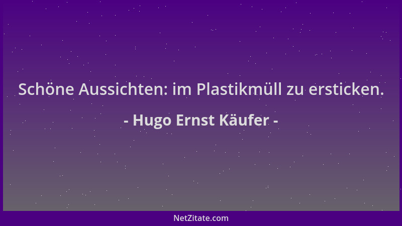 Hugo Ernst Käufer - Schöne Aussichten: im Plastikmüll zu ersticken....